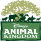 Animal Kingdom