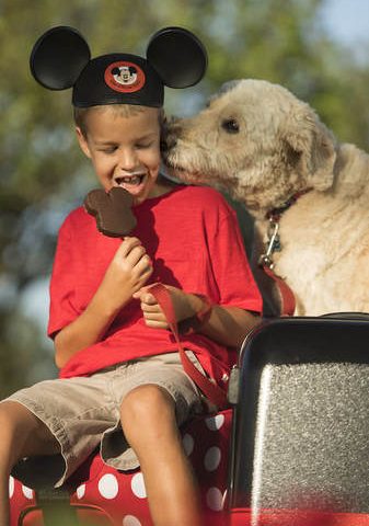 Select Walt Disney World Hotels Allow Dogs