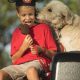 Select Walt Disney World Hotels Allow Dogs