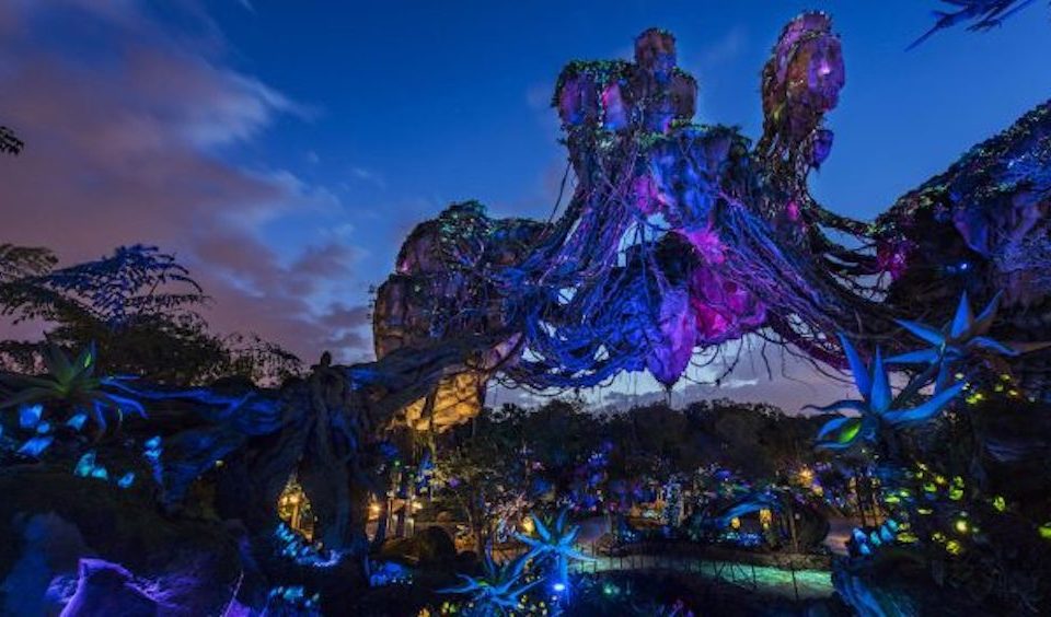 Disney After Hours: Animal Kingdom