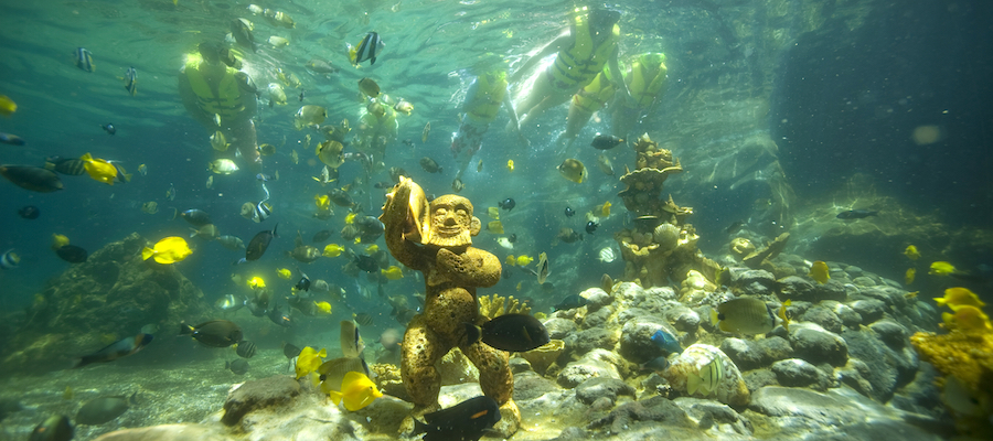 Rainbow Reef Aulani