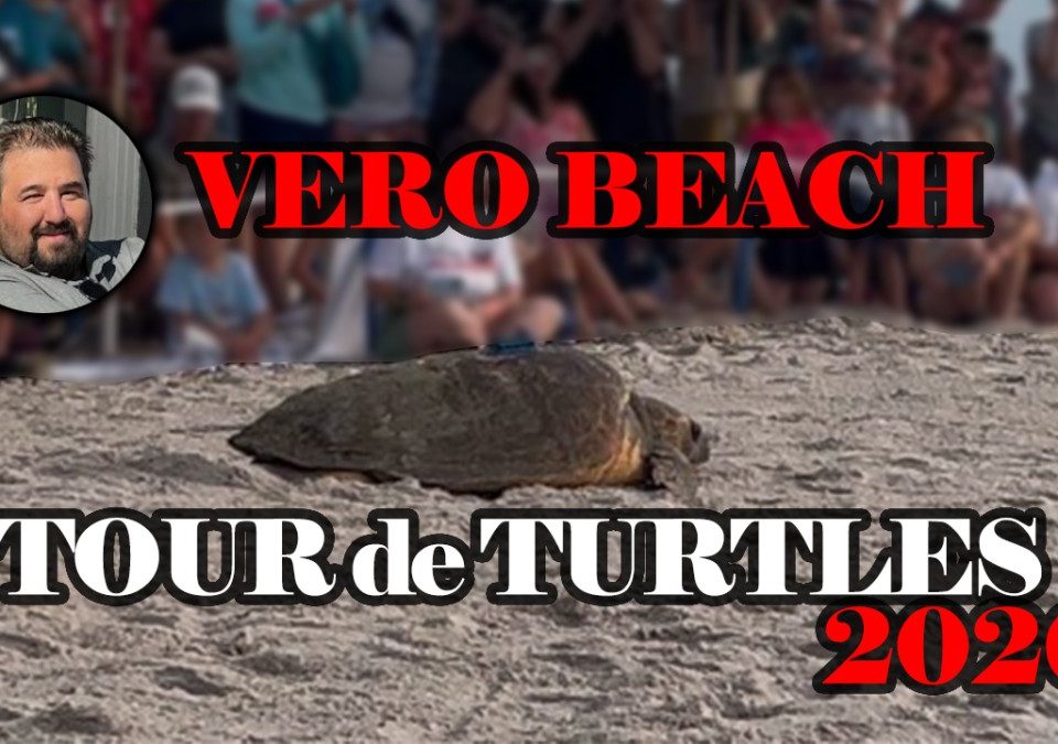 Tour de Turtles 2026 Vero Beach, FL