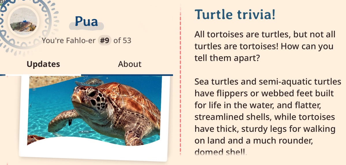 pua-trivia